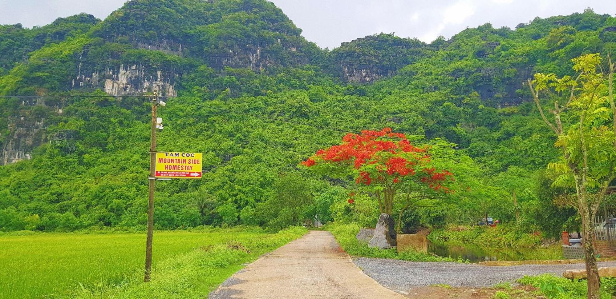 Tam Coc Moutainside Homestay Ninh Binh Dış mekan fotoğraf