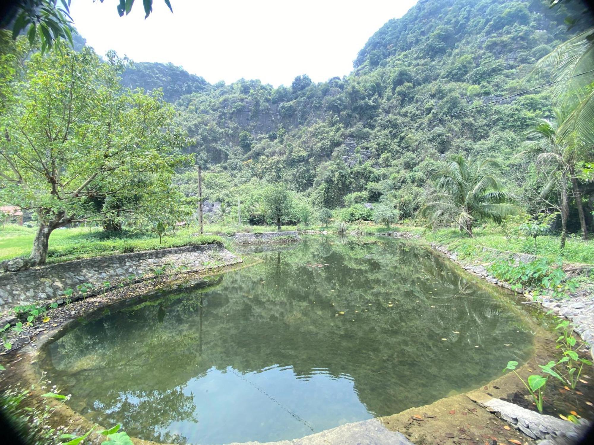 Tam Coc Moutainside Homestay Ninh Binh Dış mekan fotoğraf