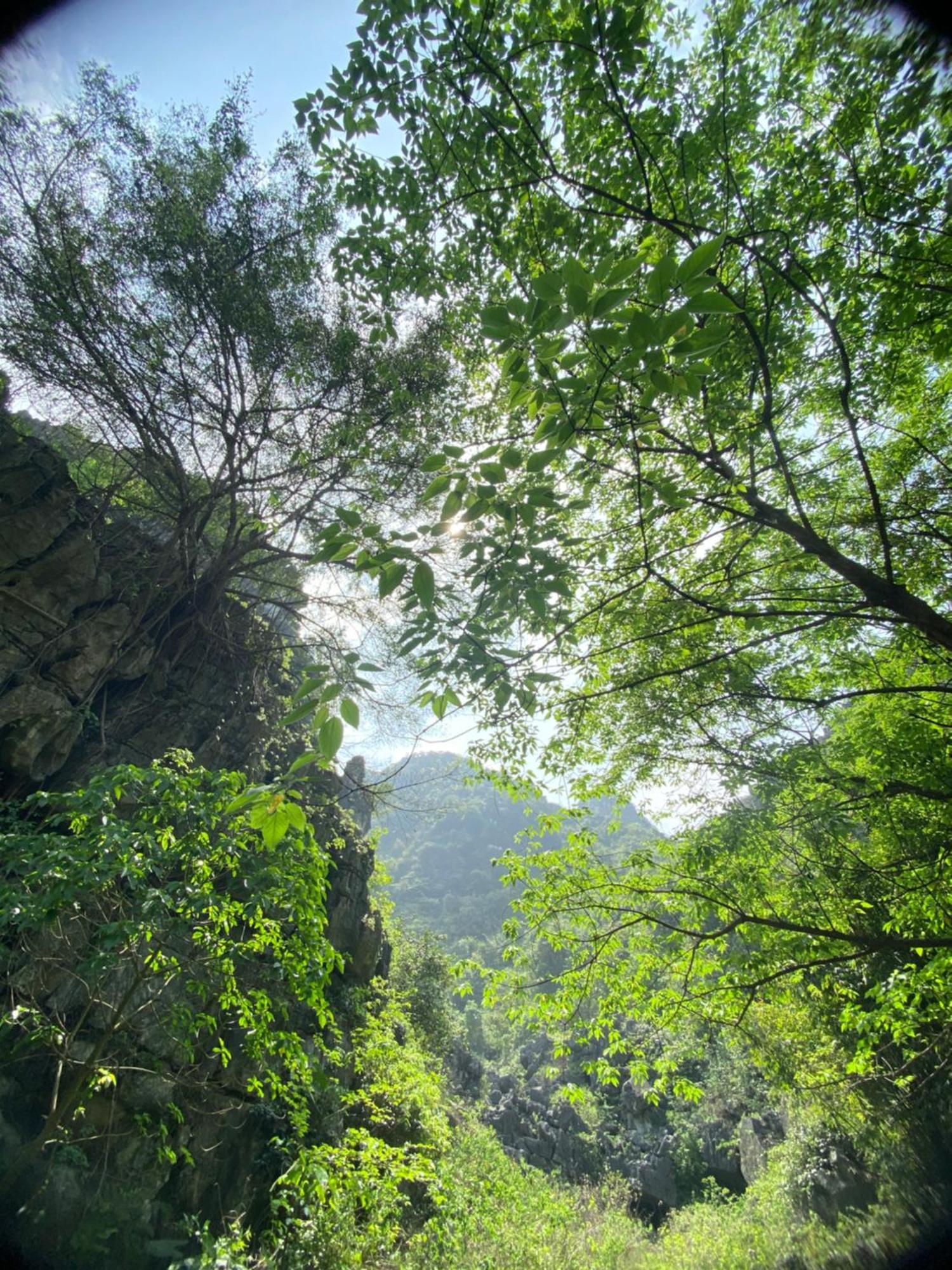 Tam Coc Moutainside Homestay Ninh Binh Dış mekan fotoğraf