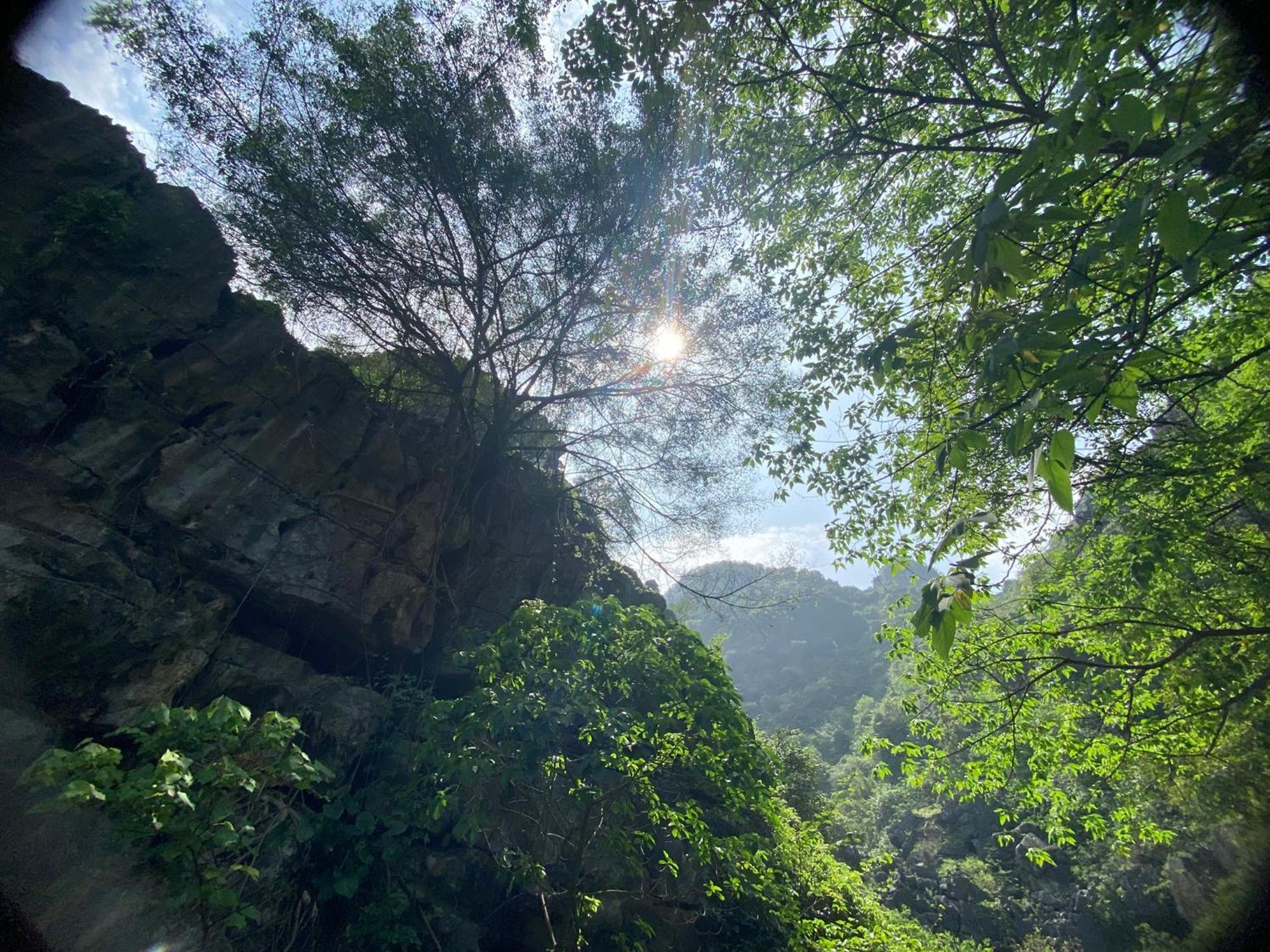 Tam Coc Moutainside Homestay Ninh Binh Dış mekan fotoğraf